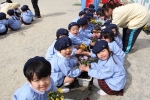 花育活動の写真